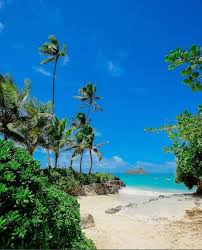 BetterThisWorlding.com: Building a Digital Pathway to a Better World betterthisworlding.com